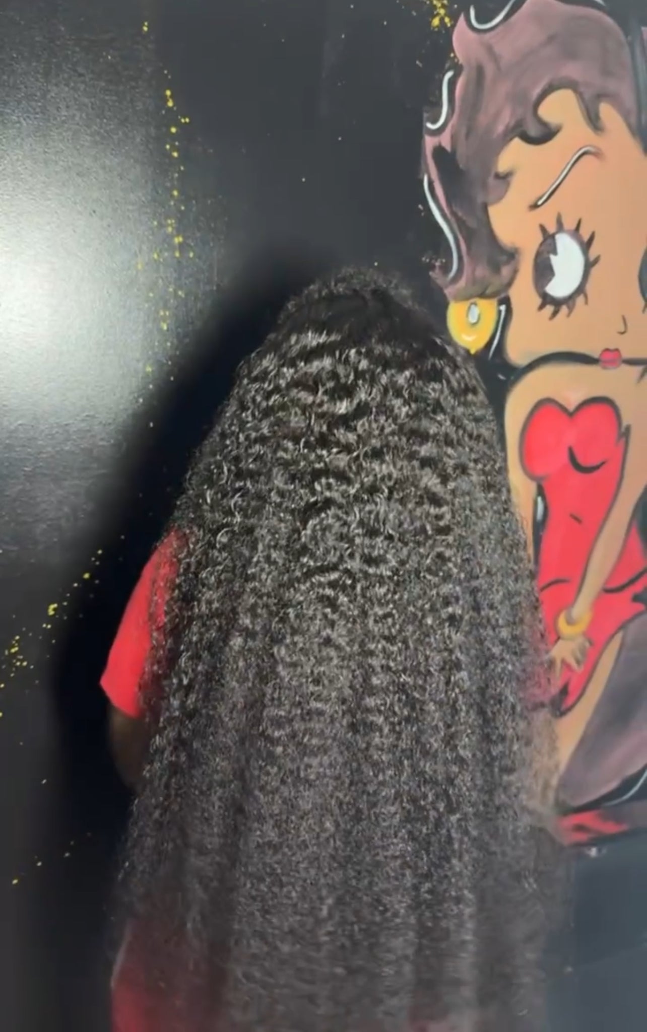 Burmese Curly